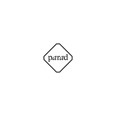 Заколки PANFIL Черный (фото 2) | Магазин Парад