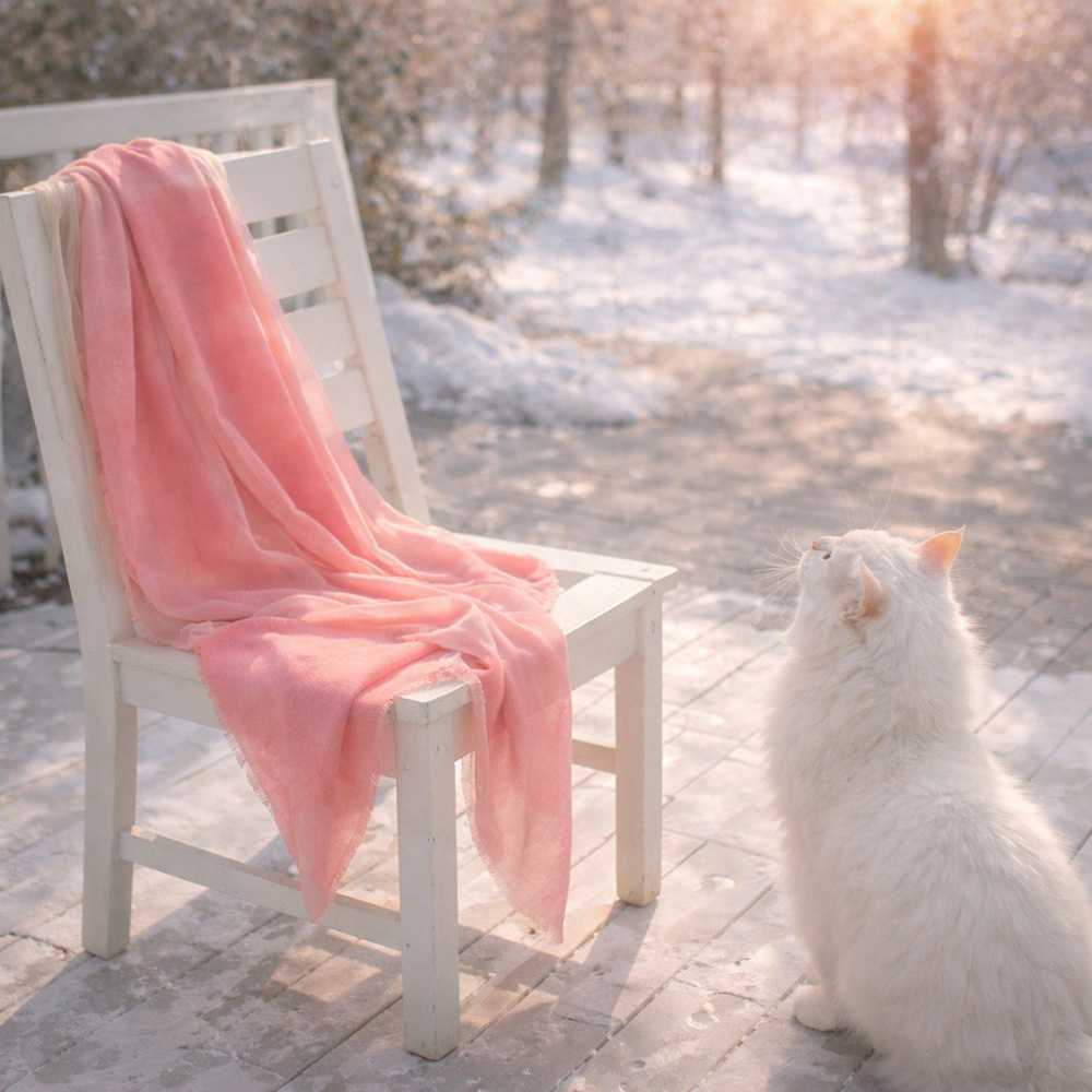 АКСЕССУАРЫ